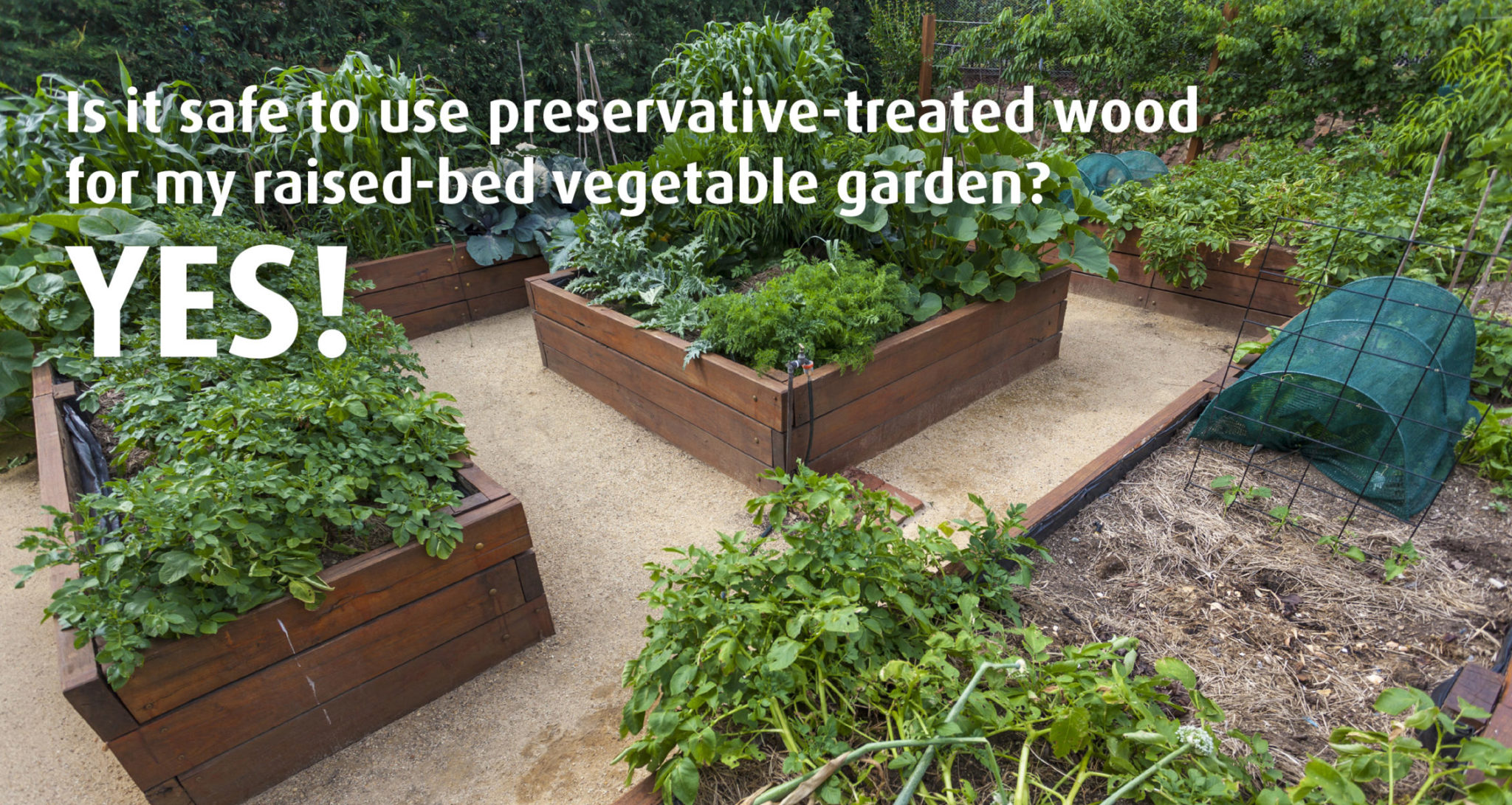 Build a Raised Garden Bed with Treated Wood Tague Lumber