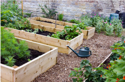 Construir una cama de jardín elevada con madera tratada