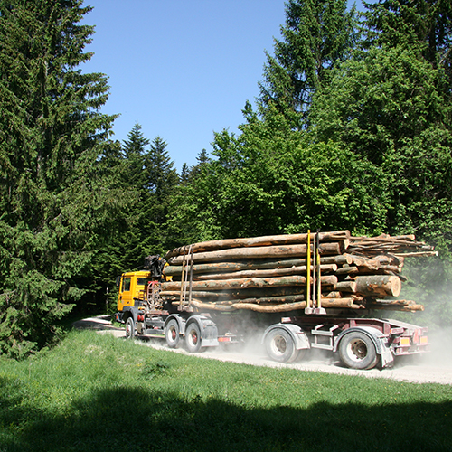 Productos de madera con certificación FSC